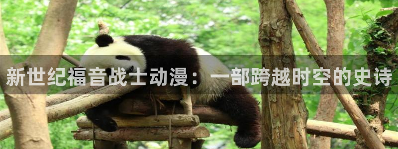 age专注动漫的门户网站：新世纪福音战士动漫：一部跨越时空的史诗