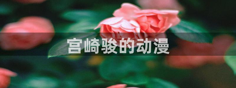 colamanage漫画：宫崎骏的动漫