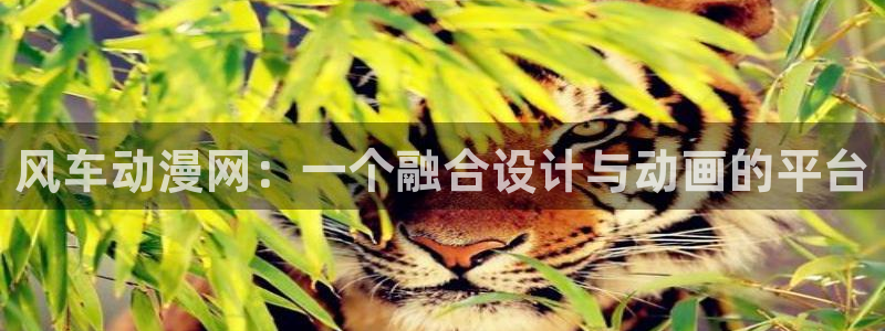age动漫官网在线入口：风车动漫网：一个融合设计与动画的平台