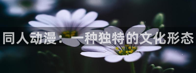 age动漫正版网：同人动漫：一种独特的文化形态
