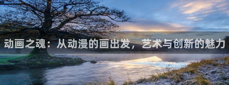 age动漫：动画之魂：从动漫的画出发，艺术与创新的魅力