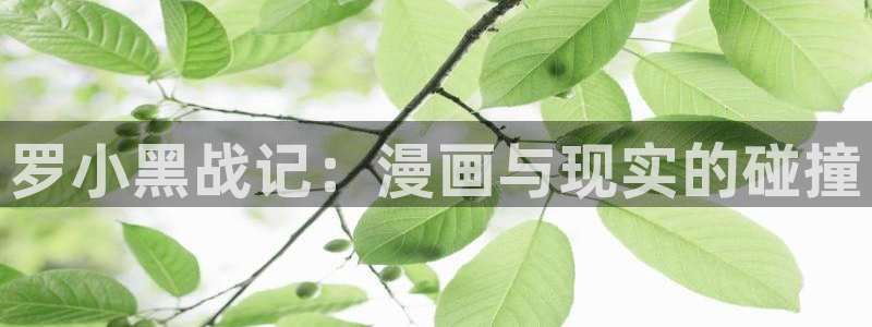 下载age动漫：罗小黑战记：漫画与现实的碰撞