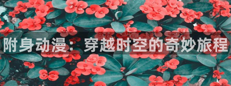 在线动画动漫下载age动漫：附身动漫：穿越时空的奇妙旅程