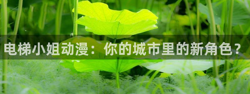 韩国漫画平台kakaopage：电梯小姐动漫：你的城市里的新角色？