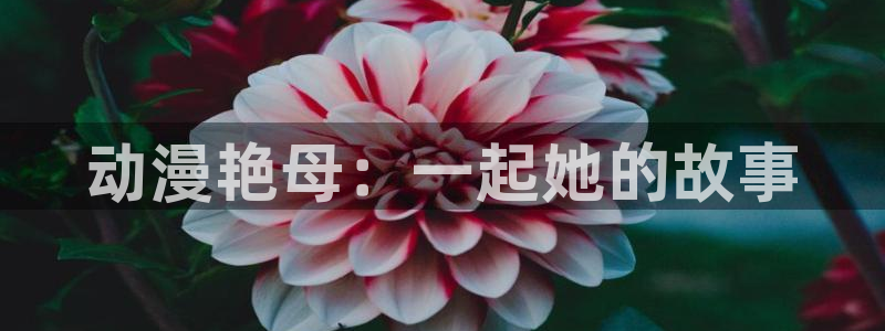 age动漫下载入口：动漫艳母：一起她的故事